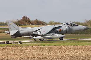 Harrier (Sea) AV-8 Matador