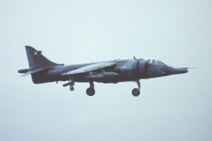 Harrier (Sea)