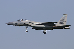 F-15C Oregon ANG (US) 